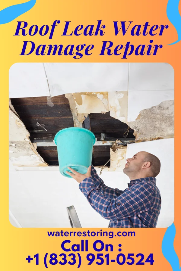 Roof Leak Water Damage Repair in Statham, GA