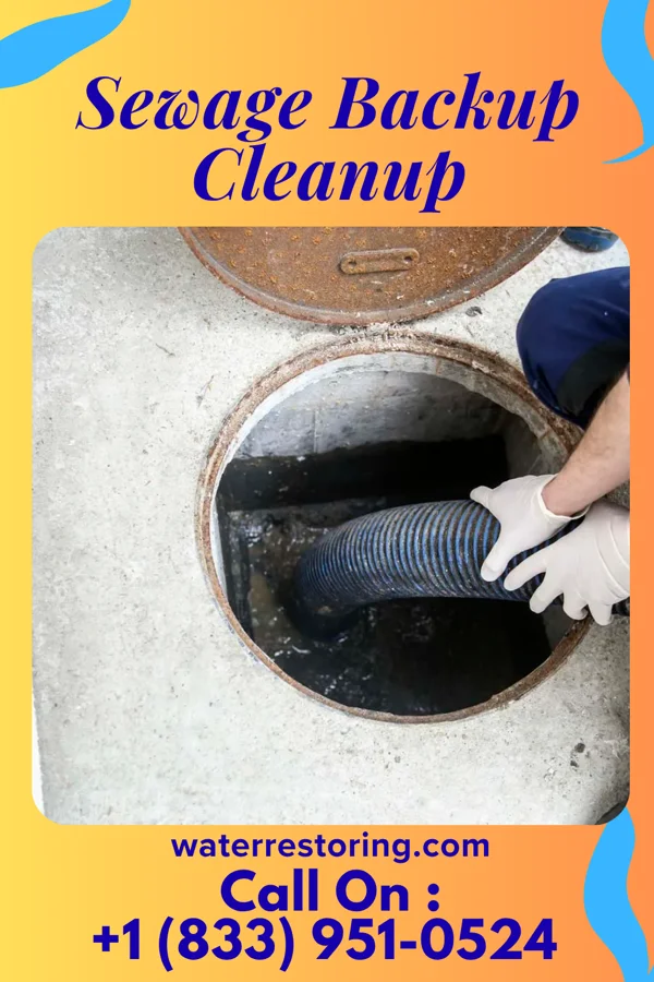 Sewage Backup Cleanup in Statham, GA